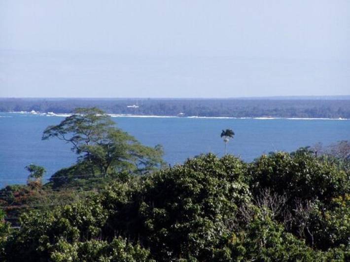Maison d’hôte pour 2 personnes, avec jardin ainsi que piscine et jacuzzi dans Hawai - 3