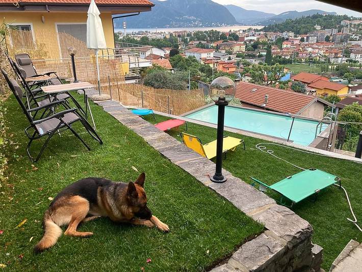 Villa pour 8 personnes, animaux acceptés à Comune di Verbania - 3