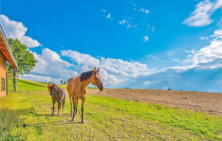 Ferienhaus für 17 Personen, mit Garten und Terrasse, mit Haustier in Pommern - 3