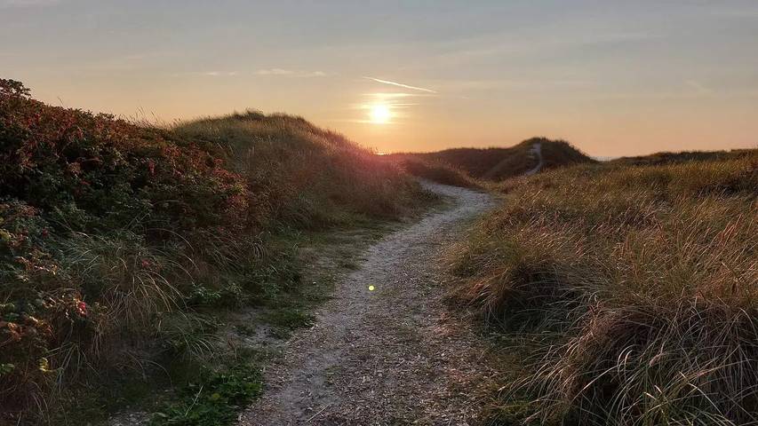 Ferienhaus für 7 Personen, mit Garten und Whirlpool sowie Sauna, mit Haustier in Grønhøj Strand - 4