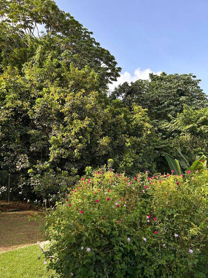 Location de vacances pour 6 personnes, avec jardin ainsi que terrasse et jacuzzi à Gros Morne (homonymie)