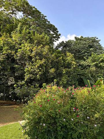 Location de vacances pour 6 personnes, avec terrasse ainsi que jardin et jacuzzi à Gros Morne (homonymie)