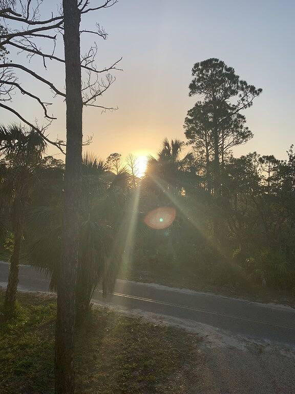 Brandneue Ferienwohnung - nur wenige Schritte vom Strand entfernt! in Indian Pass, Cape San Blas