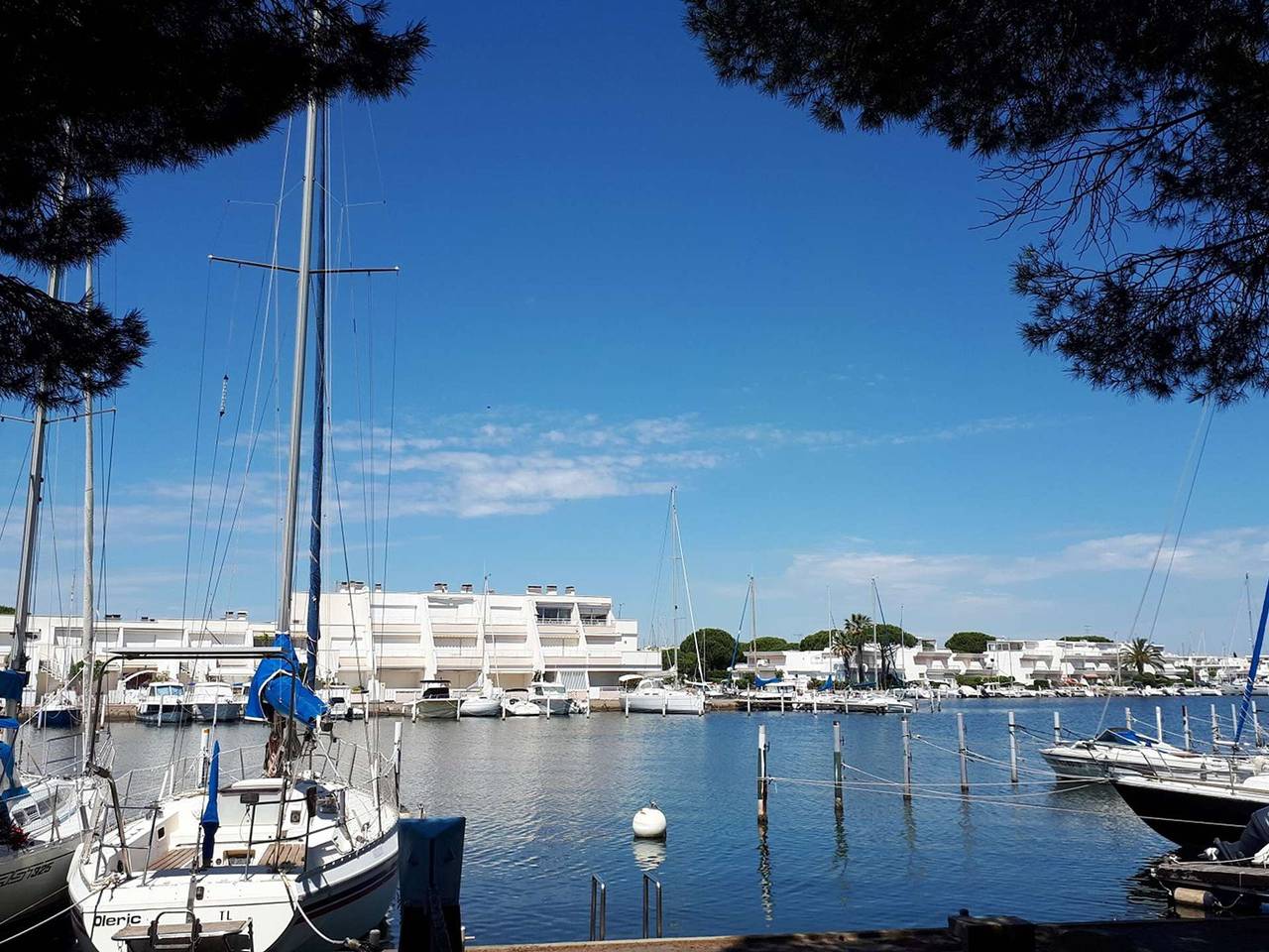 Estudio entero, Estudio-Cabina 4 Pers, Terraza, Jardín, Aparcamiento, Animales Permitidos in Port Camargue, Le Grau-du-Roi