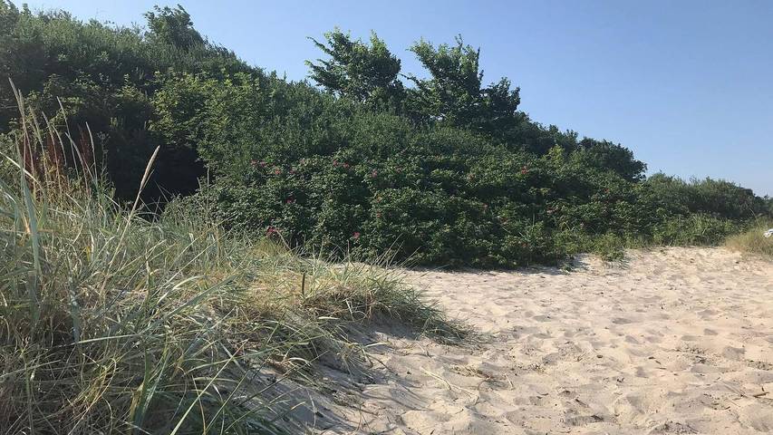 Ferienhaus für 9 Personen, mit Sauna und Whirlpool sowie Garten, mit Haustier in Odder und Umgebung - 2