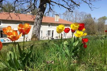 Gîte pour 12 Personnes dans Chancenay, Haute-Marne, Photo 1