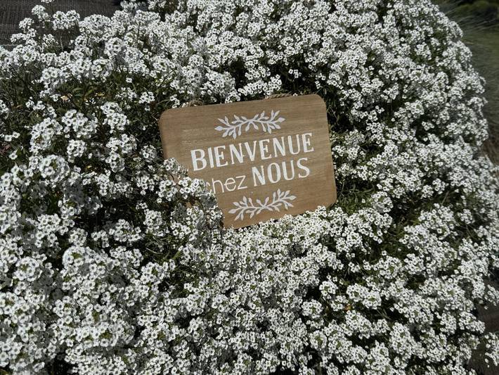 Gîte pour 8 personnes, avec piscine ainsi que terrasse et jardin à Pléhédel - 2
