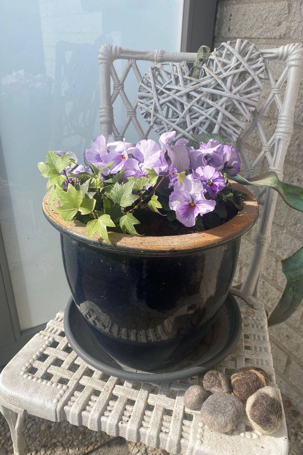 Mit gepflegtem Garten in Julianadorp in Julianadorp aan Zee, Julianadorp