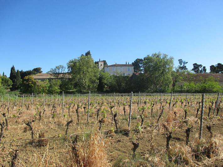 Chambre d’hôte pour 2 personnes, avec piscine et jardin, animaux acceptés dans l' Aude - 2