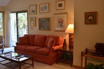 Villa for 4 Guests in Kiawah Island, Charleston County, Picture 4