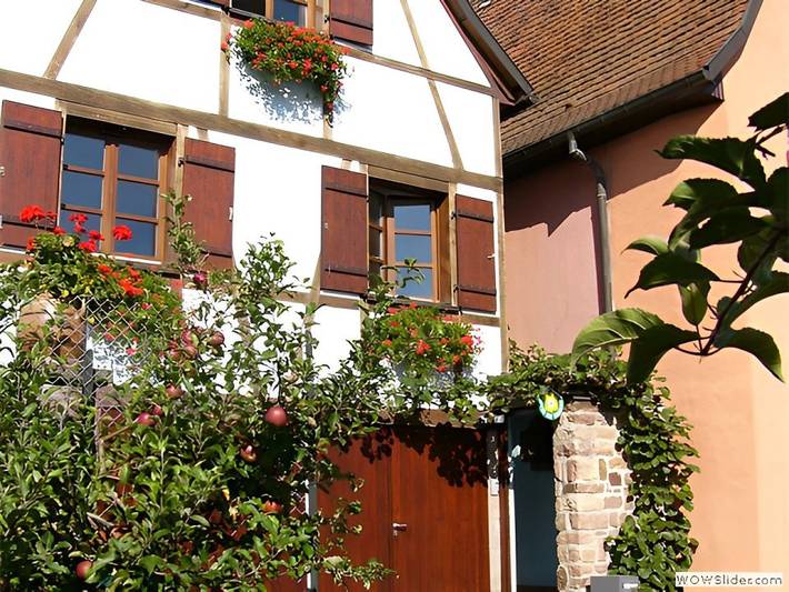 Gîte pour 2 personnes au Parc naturel régional des Ballons des Vosges - 2