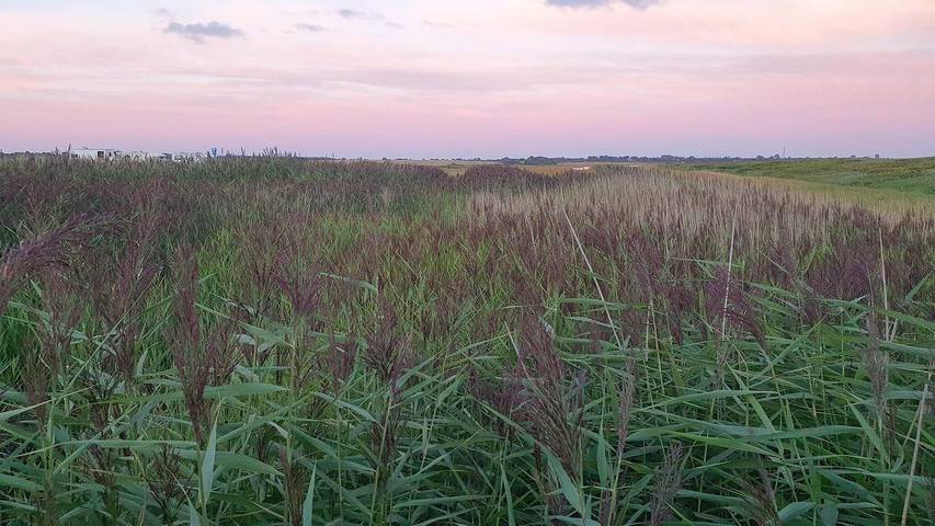 Ferienhaus mit Meerblick für 9 Personen, mit Terrasse und Whirlpool in Hadersleben - 3