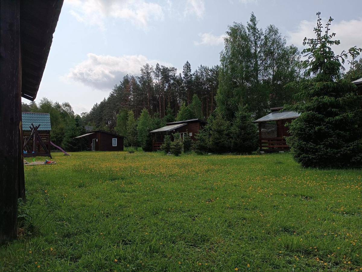 Domki Sosnowa dolina Wiele in Bory Tucholskie