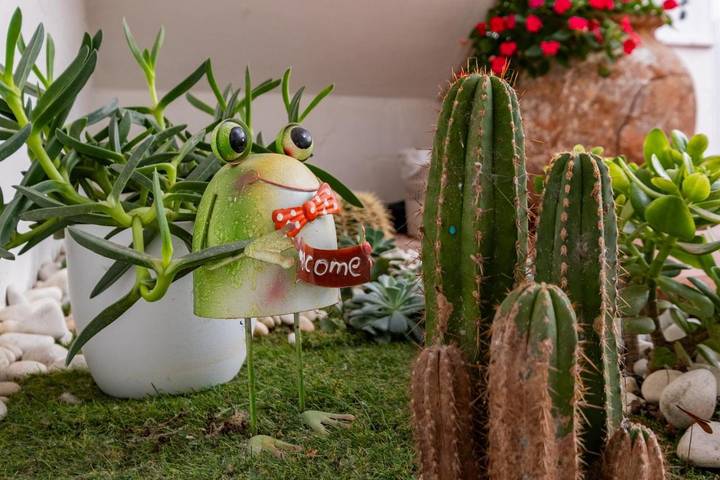 Maison d’hôte pour 2 personnes, avec jardin, animaux acceptés à Malaga - 2