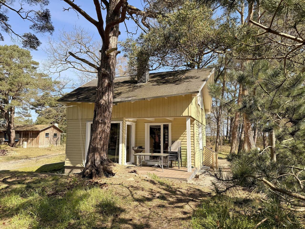 W: Strandhaus Dünenweg 17a mit Terrasse/Sauna/Kamin in Baabe, Rügen