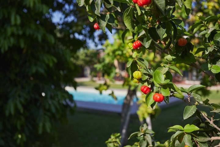 Casale della Pergola, eco-friendly, pool in Lido di Noto, Région de Noto