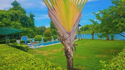 Holiday Rental for 7 People in Pattaya, Chon Buri Province, Photo 4