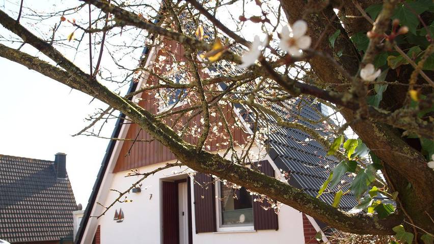 Ferienhaus für 4 Personen, mit Terrasse und Garten in Harlesiel