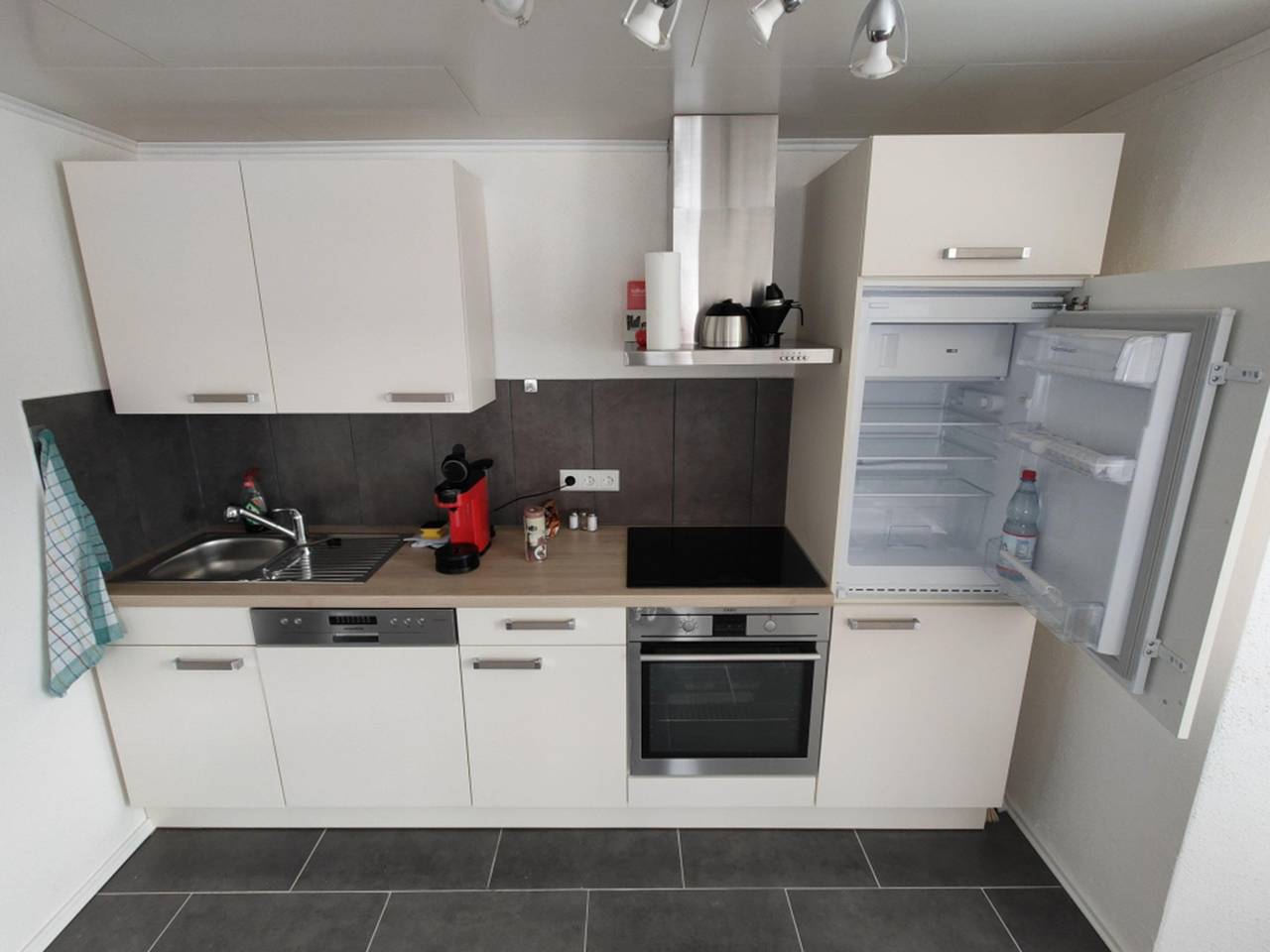 Ganze Ferienwohnung, Ferienwohnung Wildgans Dollart Ostfriesland in Ditzumerverlaat, Bunde