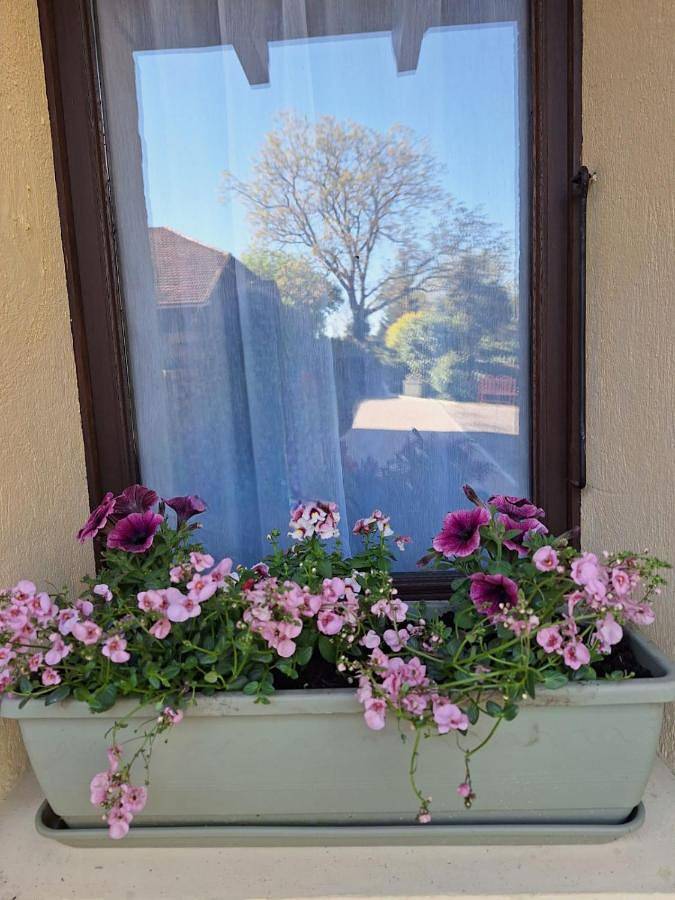 Gîte pour 2 personnes, avec vue et jardin à Saint-Michel (Gers) - 4