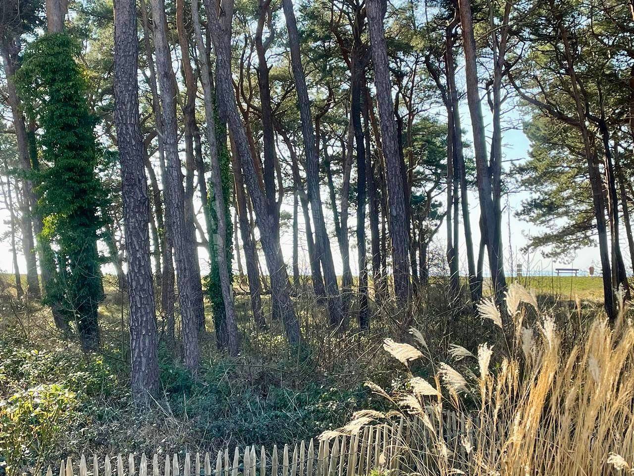 Ganze Wohnung, Ferienbungalow in Thiessow – Ihr gemütlichen Rückzugsort auf der sonnenreichsten, deutschen Insel Rügen. in Klein Zicker, Mönchgut