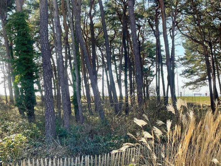 Ferienhaus für 2 Personen, mit Garten an der Ostsee - 2