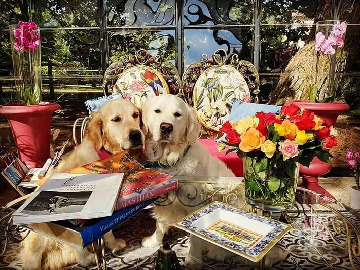 Maison d’hôte pour 2 personnes, avec jardin et piscine ainsi que jacuzzi et sauna, adapté aux familles à Sainte-Sabine-Born - 2