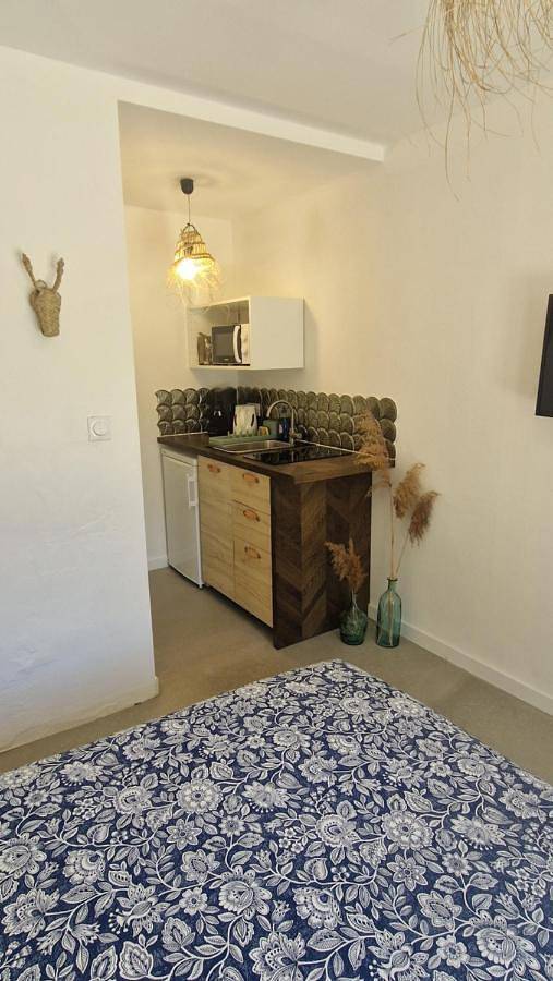 Double Room with Private Bathroom in Le Grau-du-Roi, Côte d'Améthyste