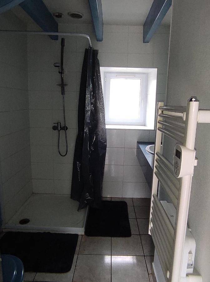 Location de vacances pour 5 personnes, avec Terrasse et Jardin à Neulliac - 4