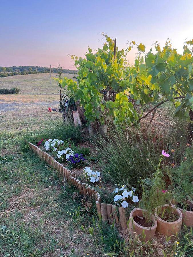 Albergue para 8 personas, con jardín y vistas, Se admiten mascotas en La Ribagorza - 4