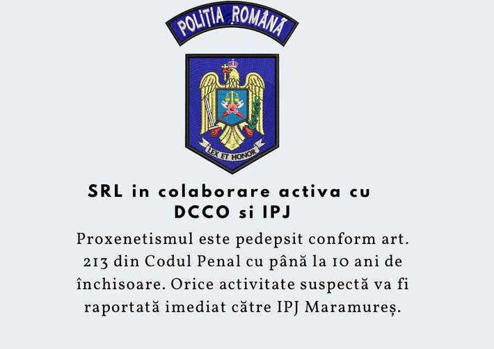Gîte pour 2 personnes, avec vue et balcon dans Baia Mare - 2