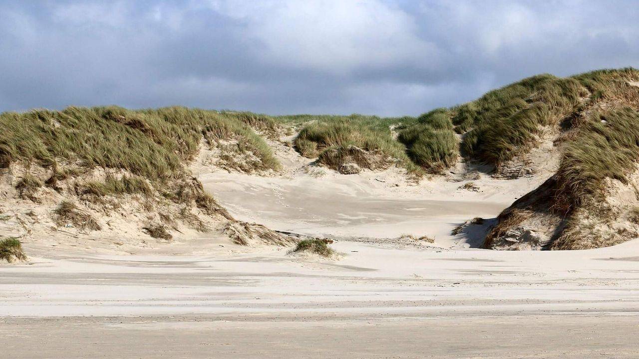 Ferienhaus für 6 Personen (62 m²) in Henne in Henne, Varde