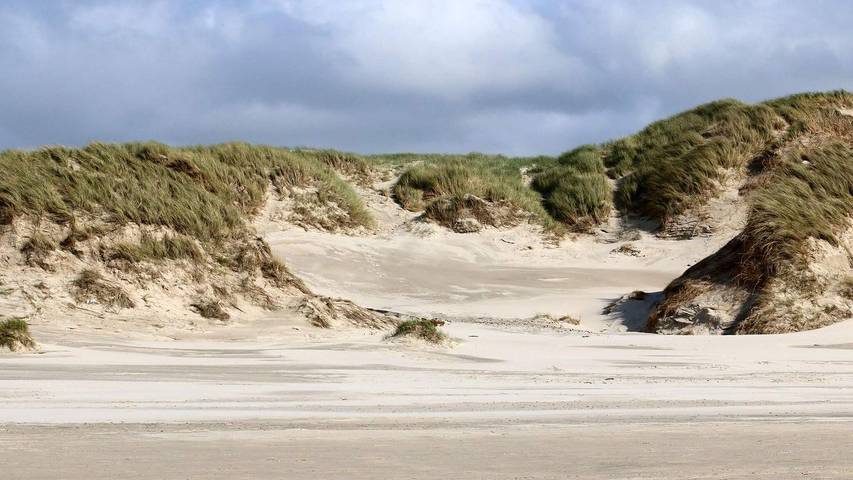 Ferienhaus für 7 Personen, mit Sauna und Terrasse in Henne Strand - 3
