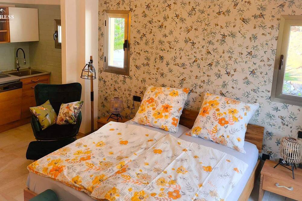 Entire apartment, 2022 refurbished Appartement with great views for 2-3 persons in La Calera, Valle Gran Rey