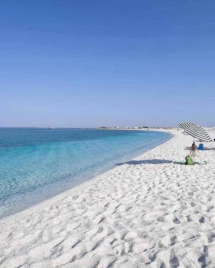 Geheel appartement, La Conchiglia sul Mare in Vada, Rosignano Marittimo