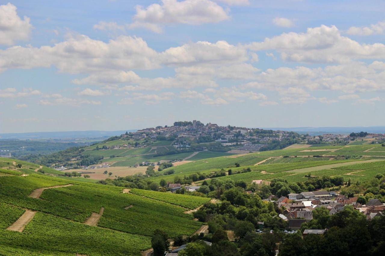 Sancerre centre, Duplex Les Tomettes et ou Chambre Verte, modulable in Sancerre, Région de Bourges
