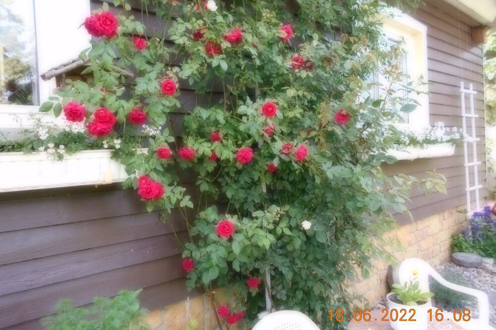 Vermiete Sehr Schönes Apartment/ferienwohnung in Dankerode im Harz, foto 15