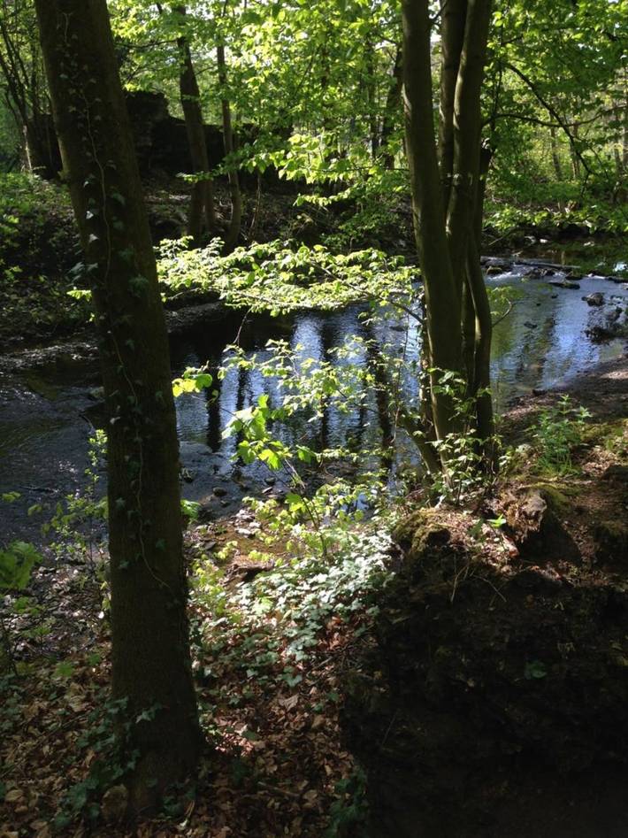 Ferienwohnung für 2 Personen, mit Garten in Walkenried - 4