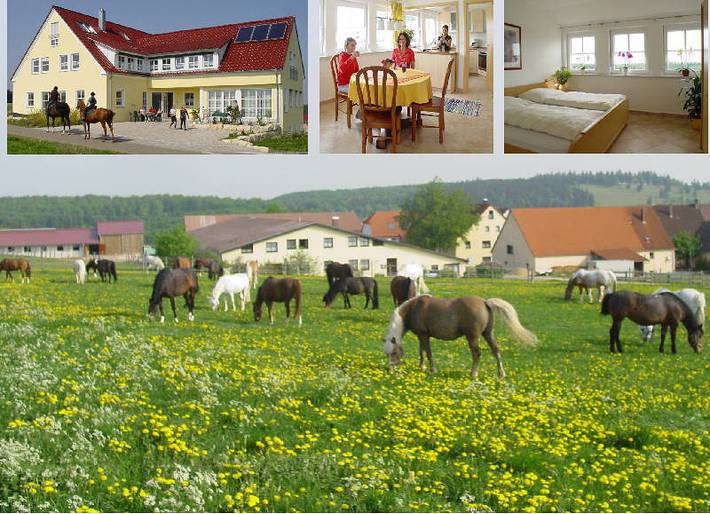 Ferienwohnung für 4 Personen, mit Garten - 1