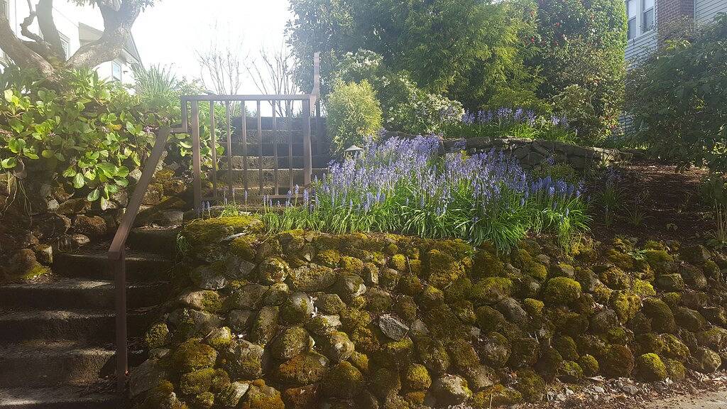 Zwei Geschichten-Häuschen in Se Portland Oregon in Portland, Multnomah County