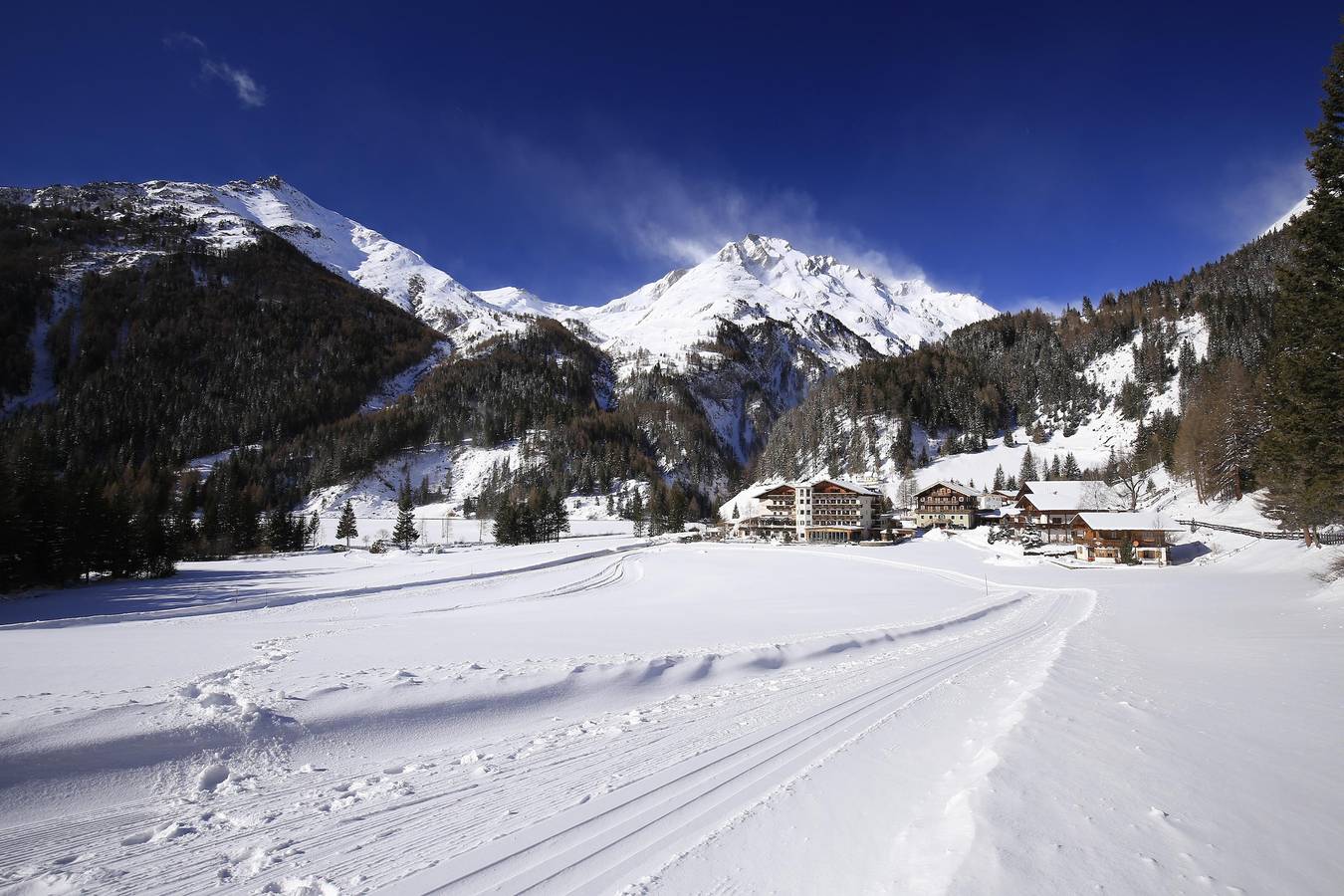 Anemone in Kals am Großglockner, Bezirk Lienz