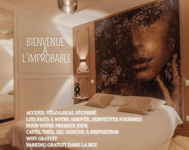 Appartement entier, L'improbable raffiné, élégant et chaleureux in Segré-en-Anjou-Bleu, Vallée de la Loire