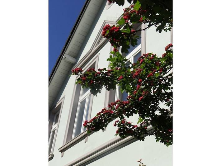 Ferienhaus für 6 Personen, mit Garten in Oldenburg