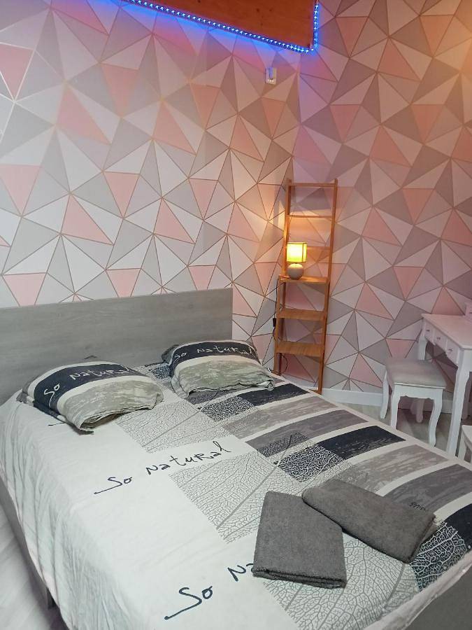 Chambre d’hôte pour 15 personnes, avec piscine et jardin, animaux acceptés dans Haute-Garonne - 3