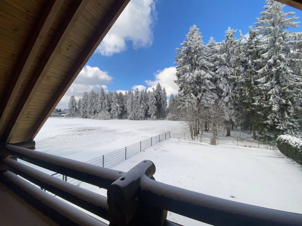 Am Rennsteig in Neuhaus am Rennweg, Rennsteig