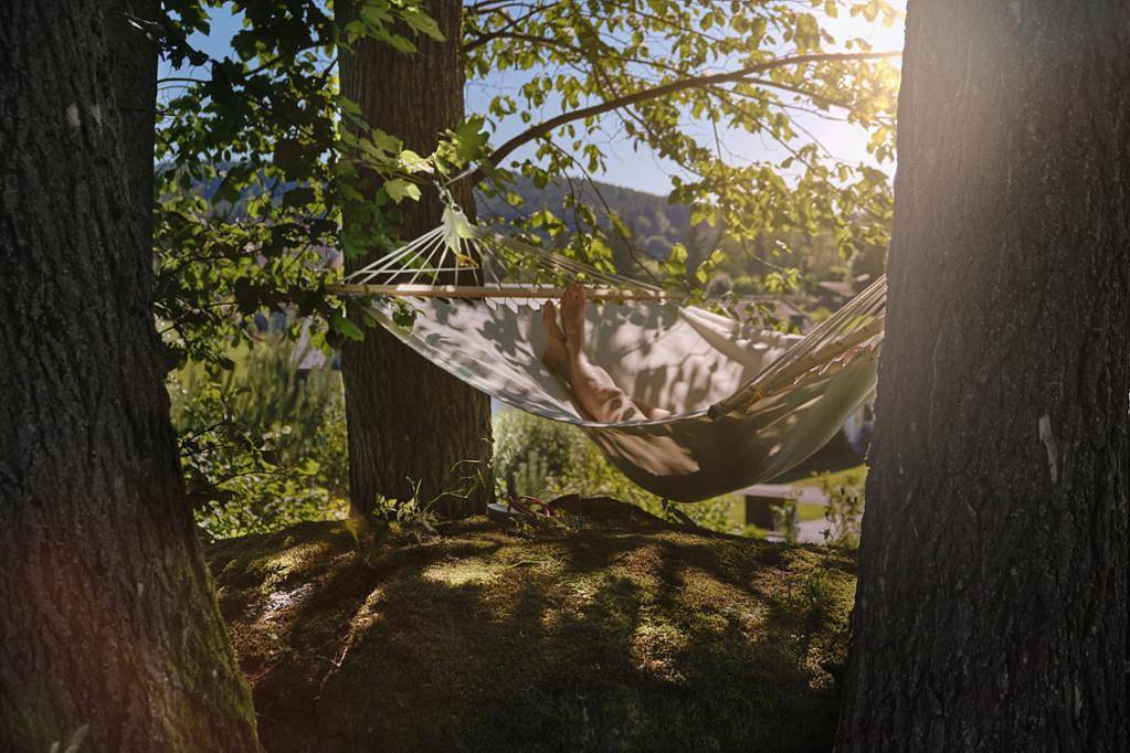 Ganze Ferienwohnung, Aigen13 - Ferienwohnung Blumenwiese (90qm) mit Garten in Groß Gerungs, Waldviertel