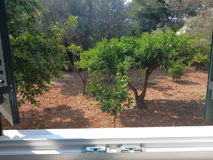 Villa für 6 Personen, mit Garten und Ausblick, mit Haustier in Palermo - 3