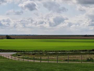 Vakantiehuis voor 4 Personen in Noordzee Denemarken, Afbeelding 4