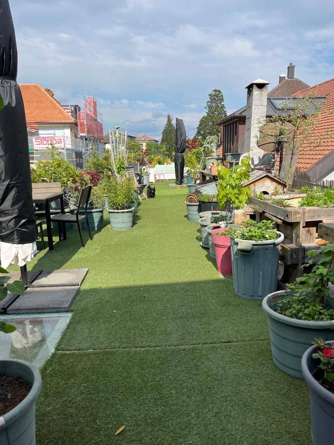 Gîte pour 6 personnes, avec terrasse, animaux acceptés à La Neuveville - 3