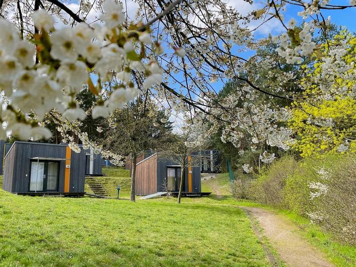 Ferienwohnung für 3 Personen, mit Terrasse und Seeblick in Großkoschen - 2